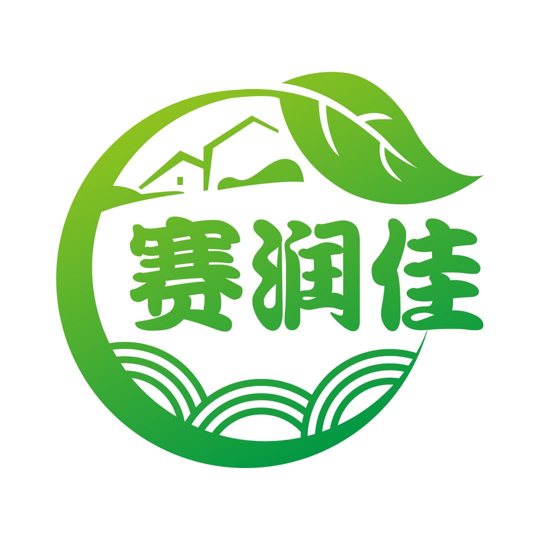 赛润佳粉条