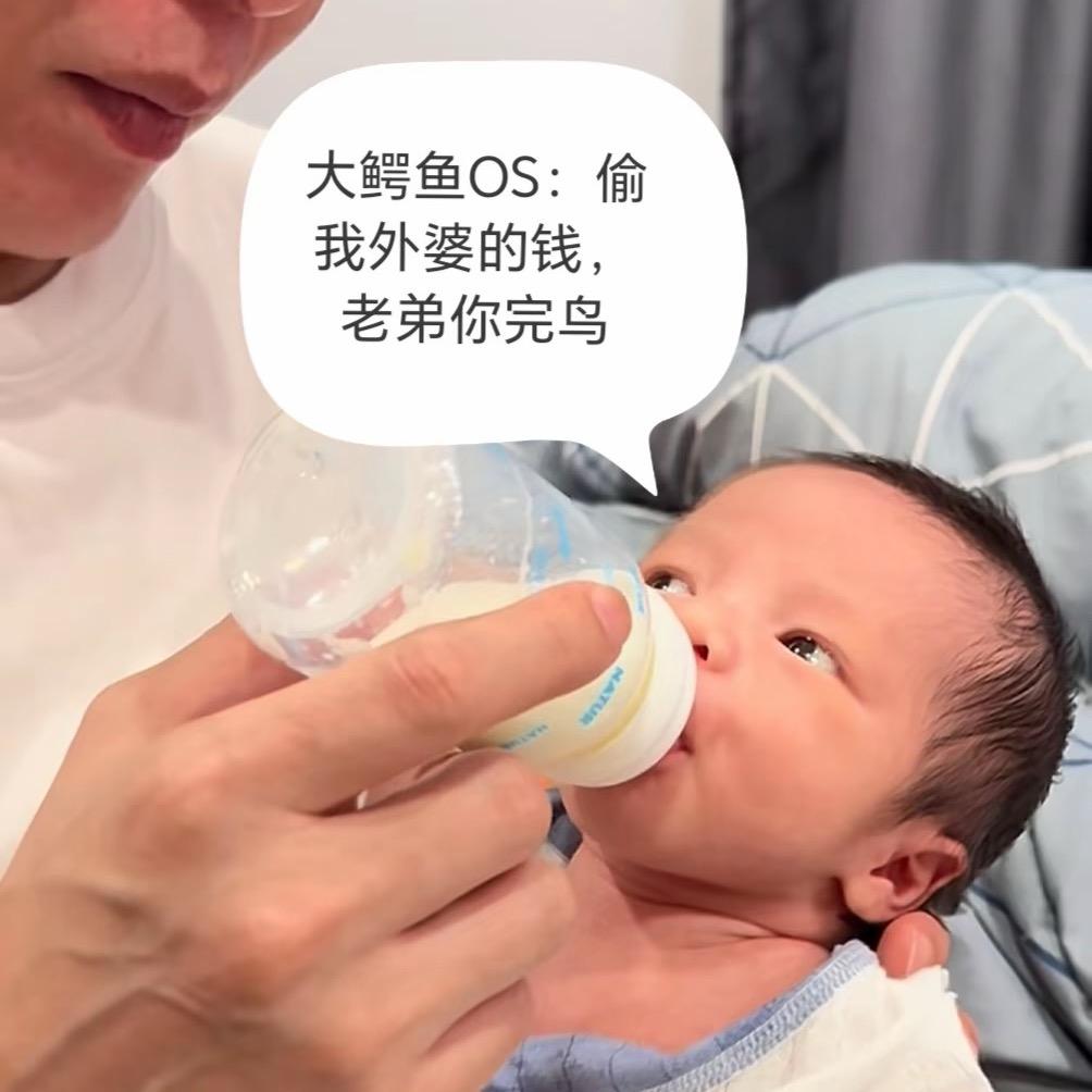 金珉伊的流浪狗妈妈