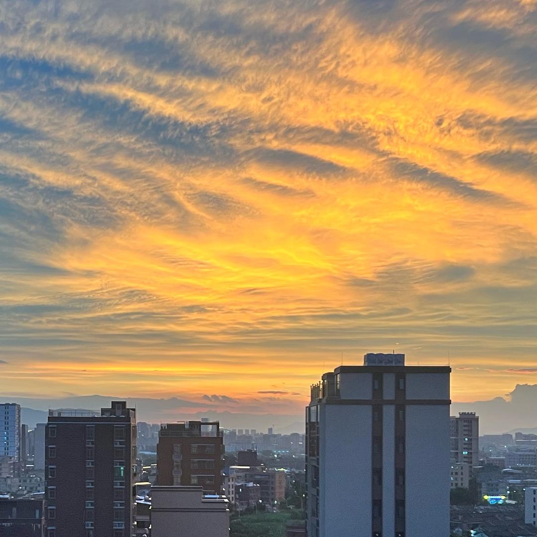 你在哪