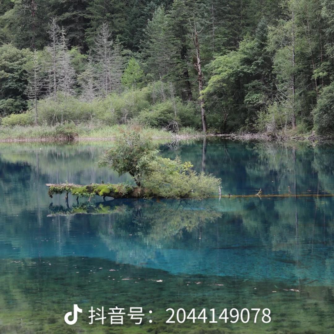 玄虚-闻言