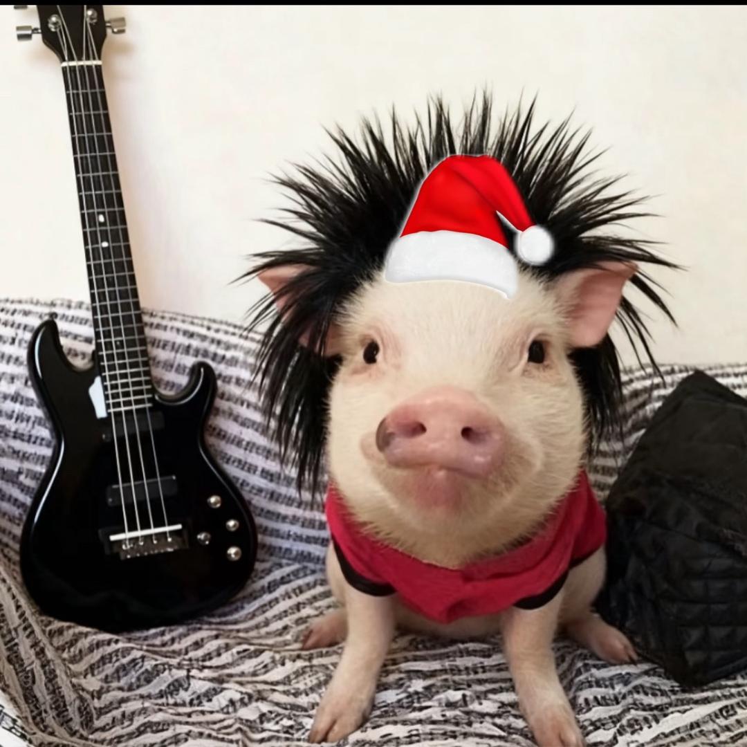 全世界都在欺负萌萌的俺