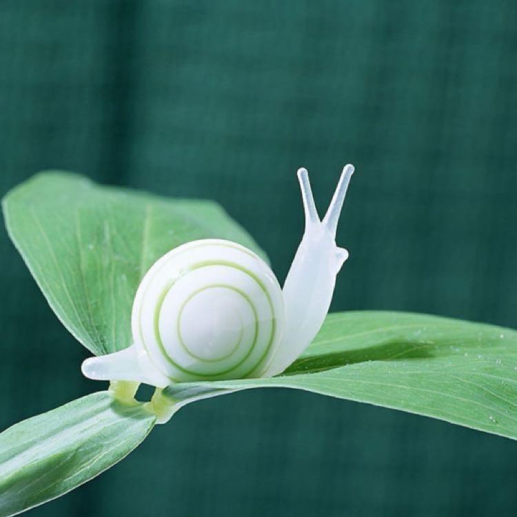 明语杂谈