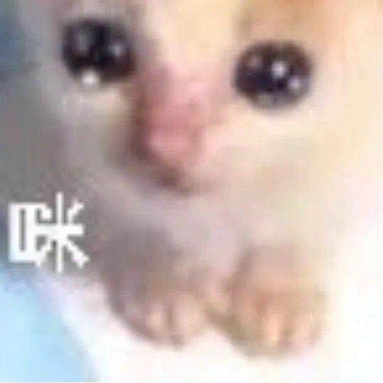 小溪大王