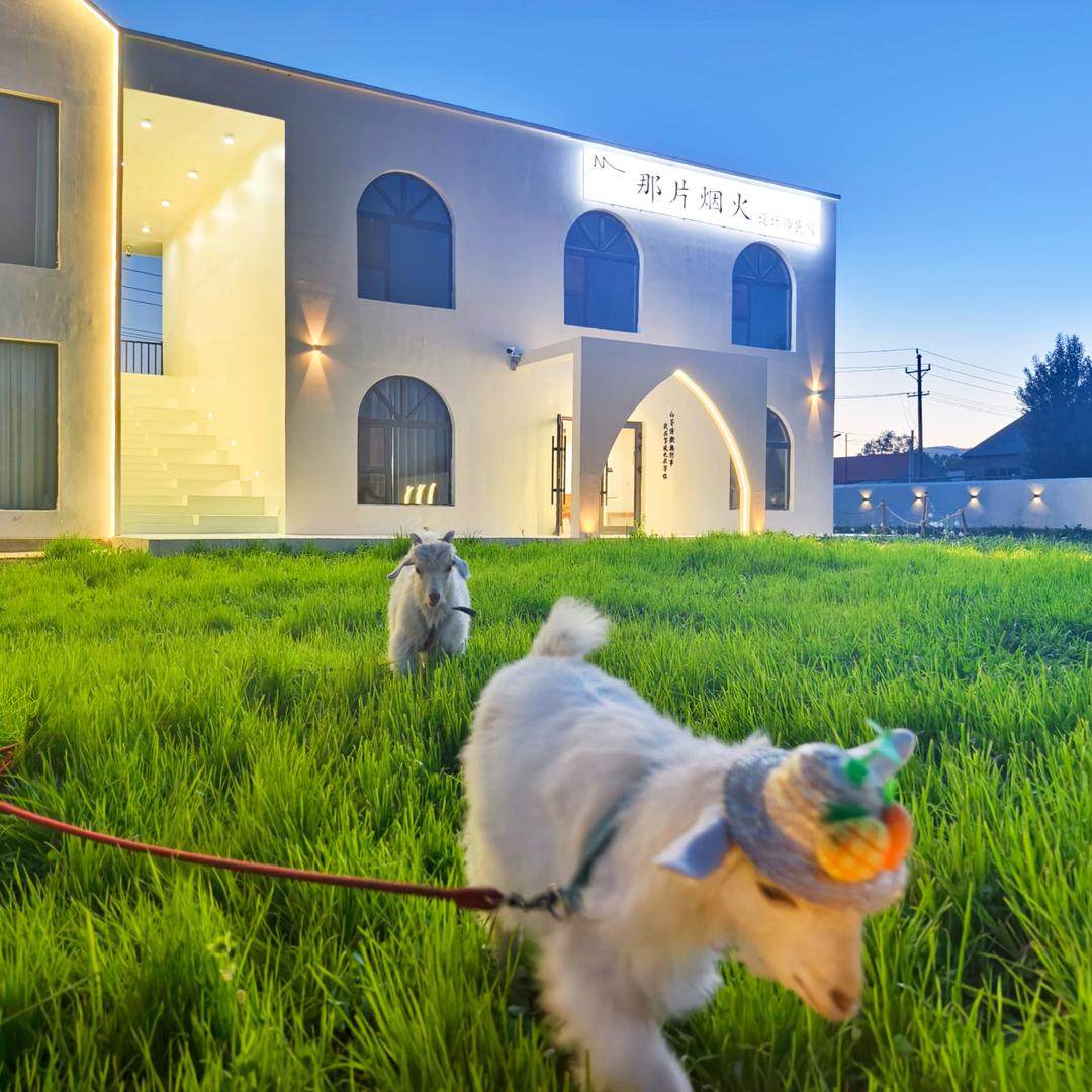 那片烟火·设计师民宿（昭苏店）