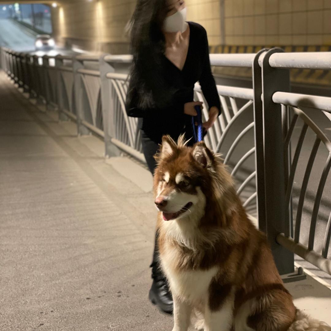 龙福黄金 （明明）