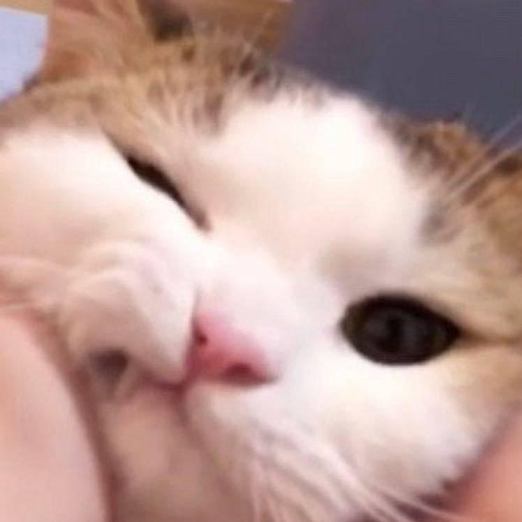 王小明来咯