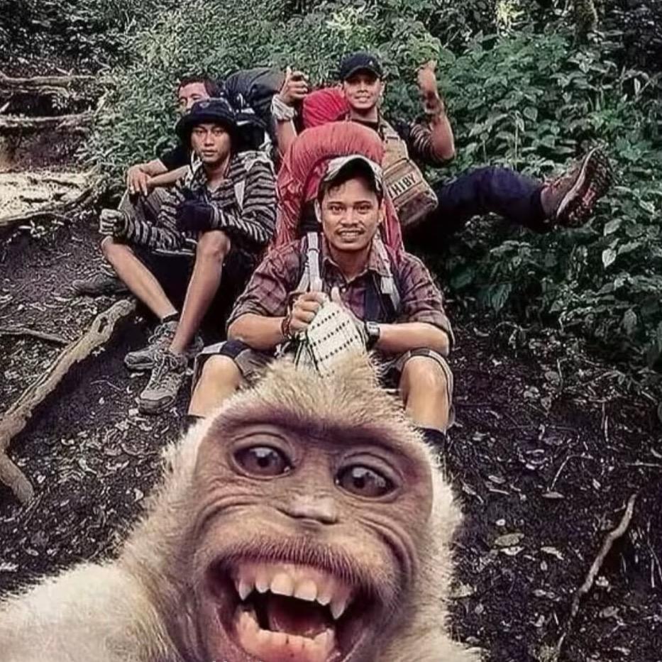 ࿐藏•——•虎🐅