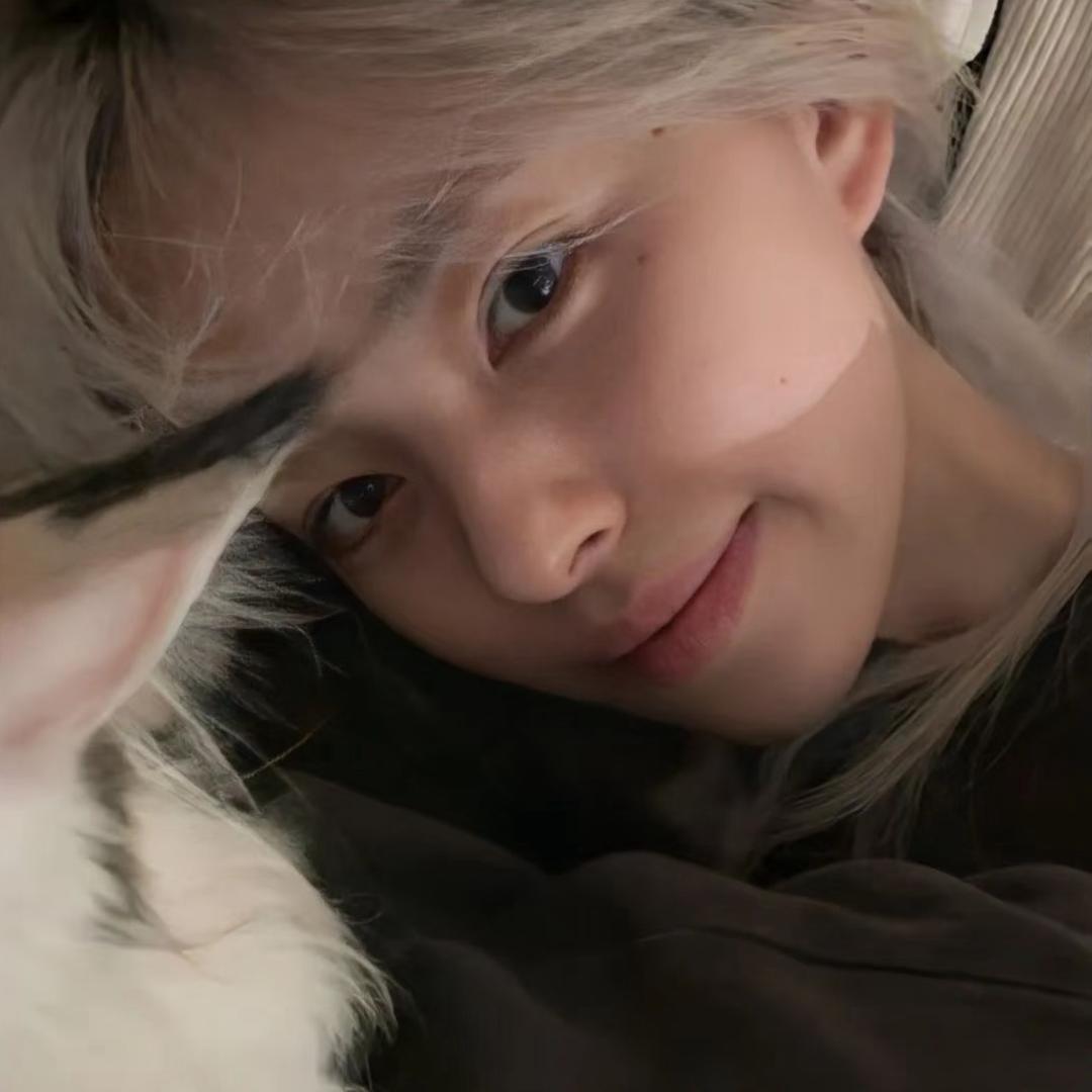 你们都不要再吵了