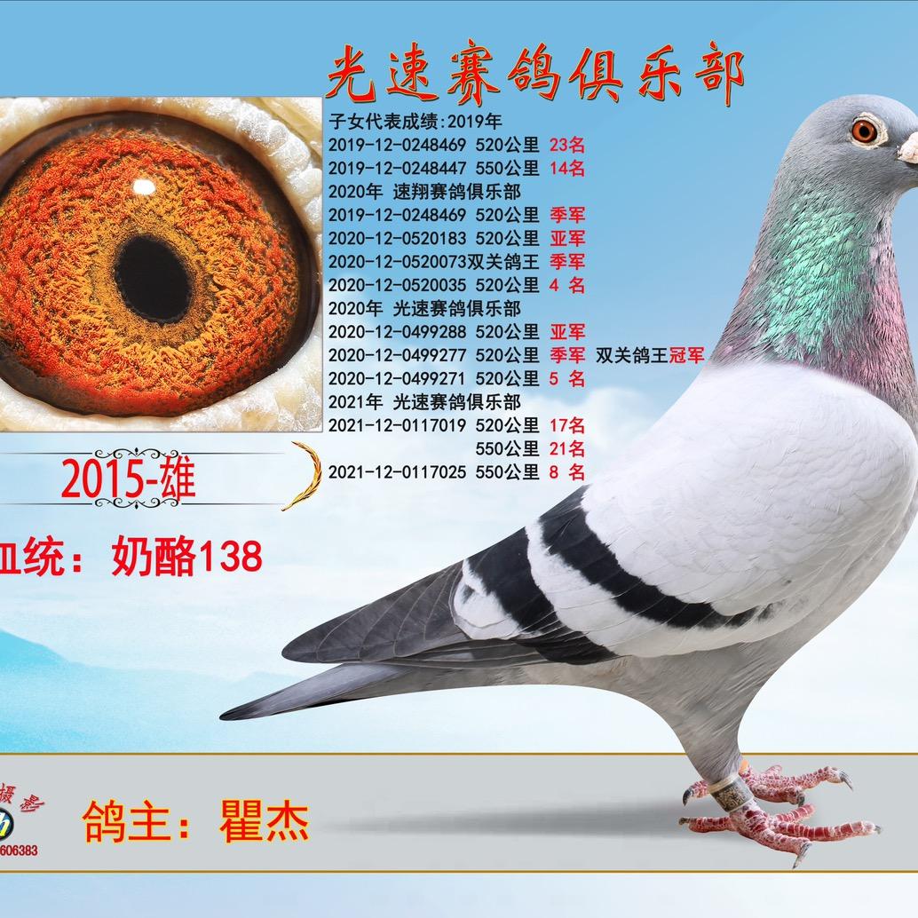 爱进行-瞿杰