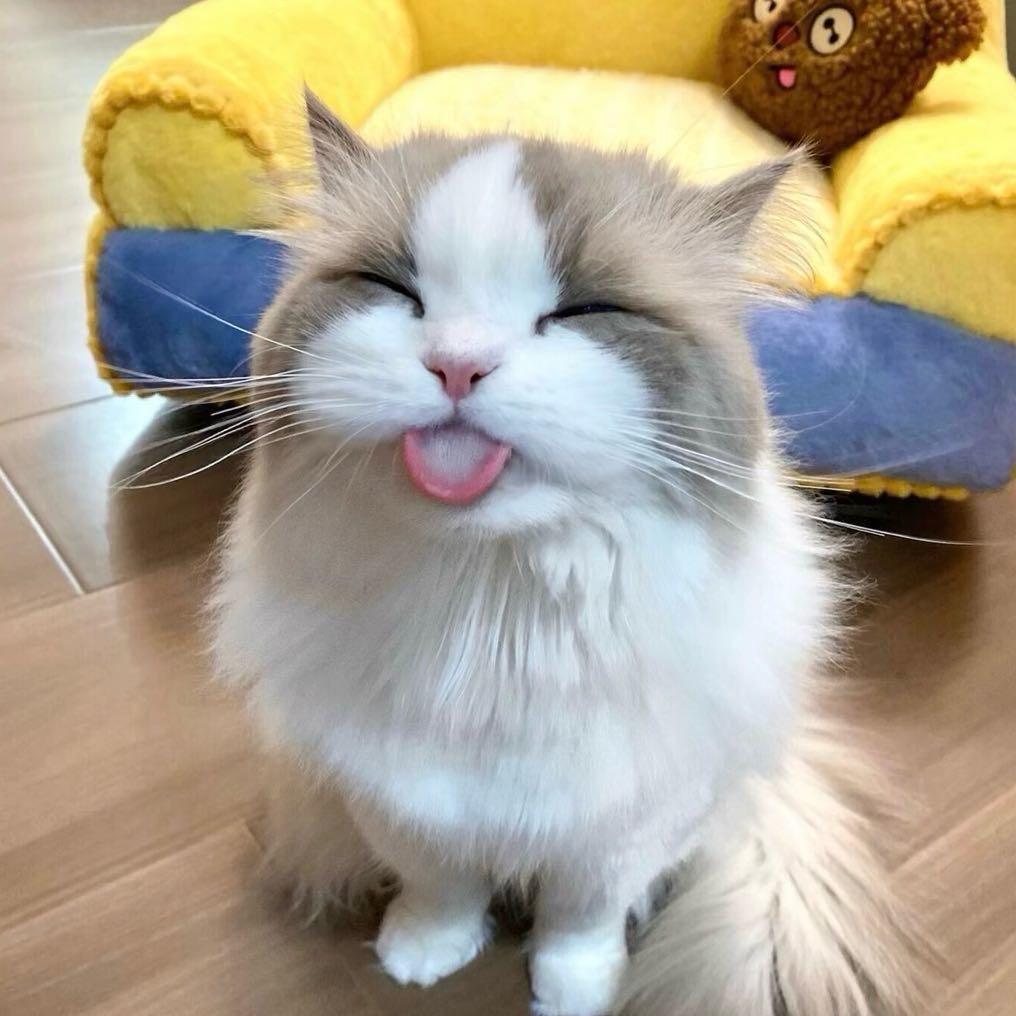 婷酱.🧸