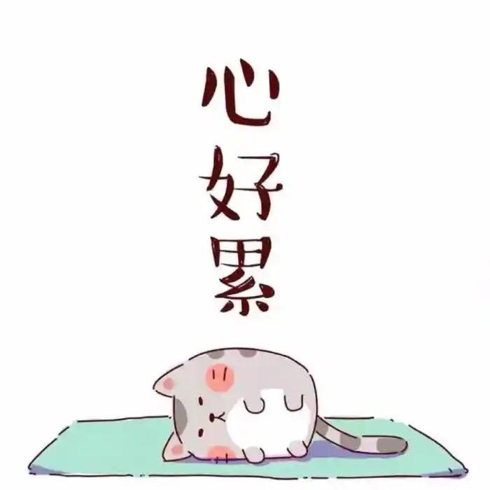 雨昕