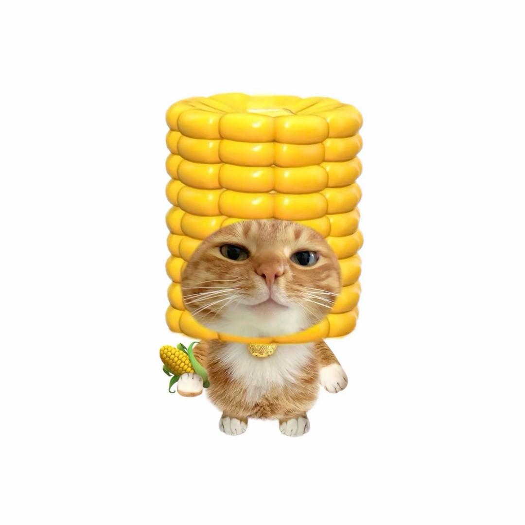 黏苞米大王