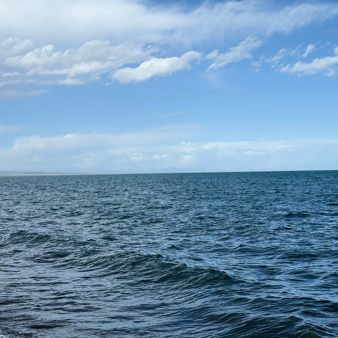 面朝大海