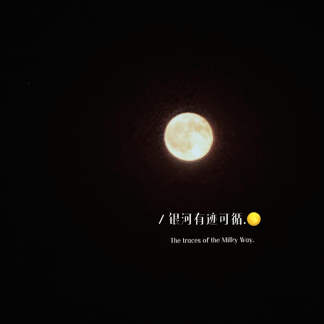 小鸭子嘴硬*ੈ♡