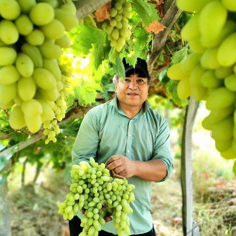 葡萄哥🍇