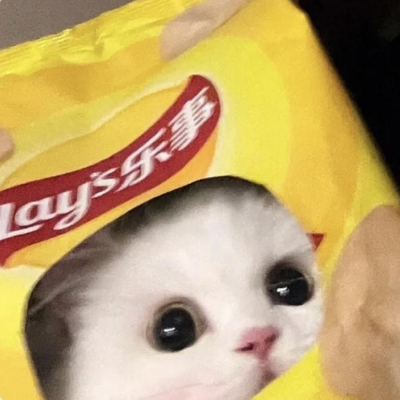 iiis猫尾