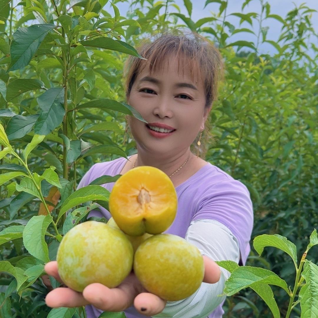 guoludao李之味果树苗木专卖店