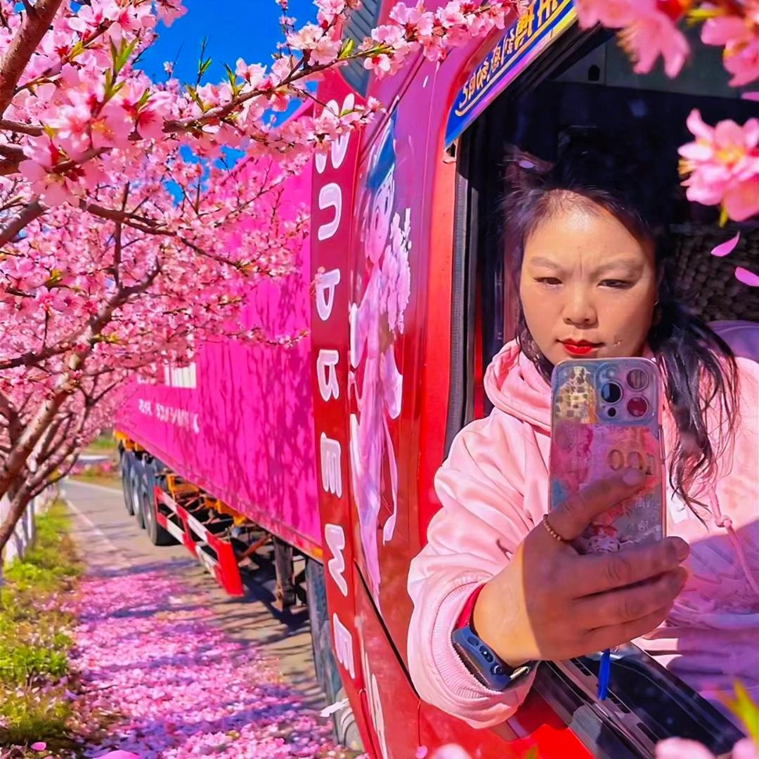 集卡女司机༺ༀൢ绝版驴ൢༀ༻