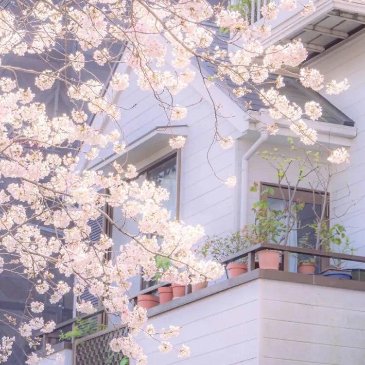 初三月