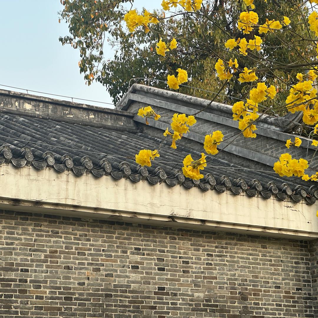 广西升学指导-黎老师