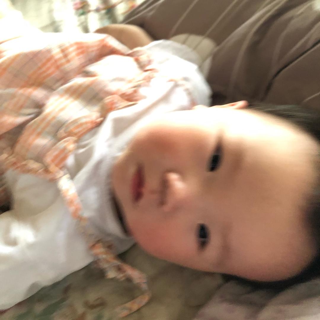 南征北战，不服就干