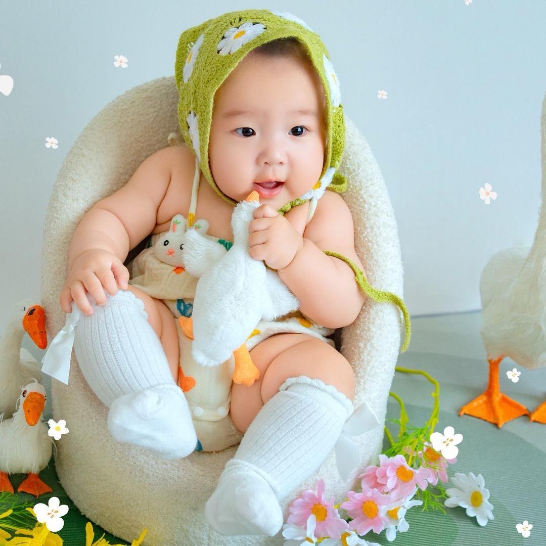 玉面小飞鸽🕊️