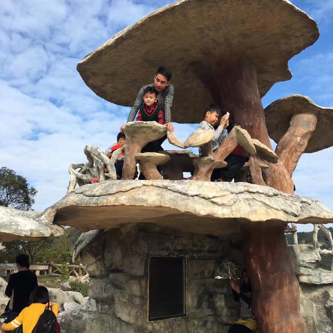 杨三灵：水果树