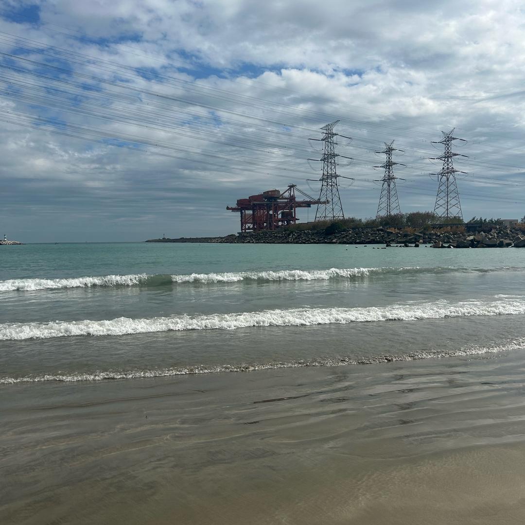 🌊陈东🐬