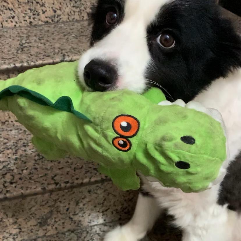 油烟男孩