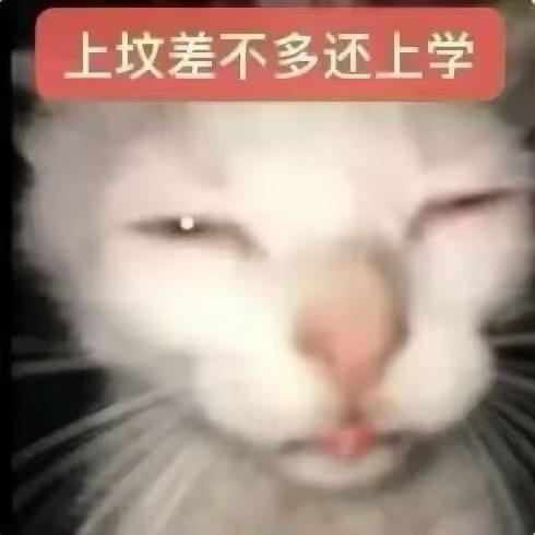物狗（停用版