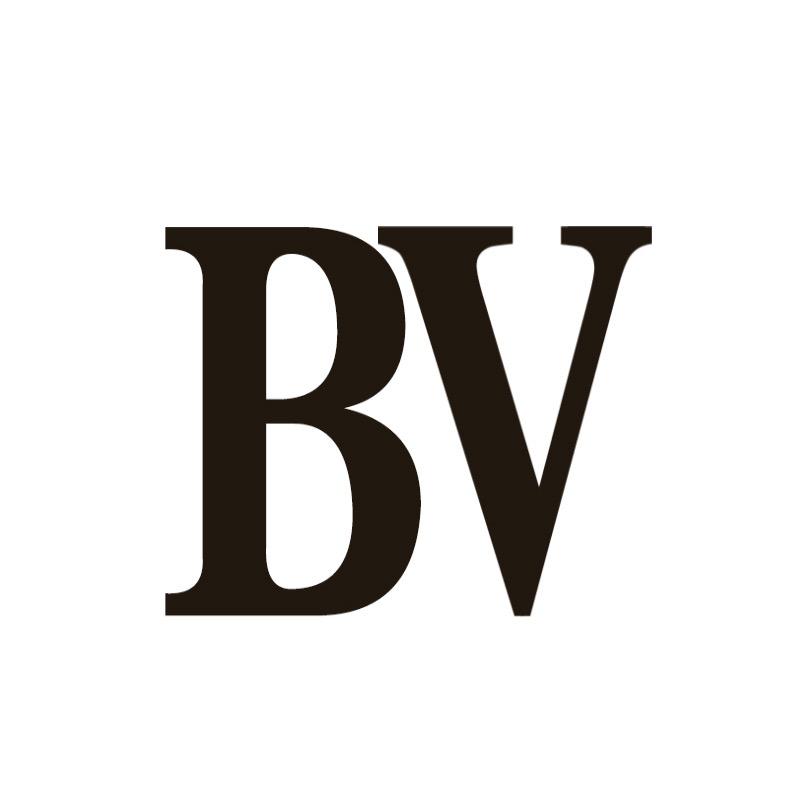 BV箱包旗舰店