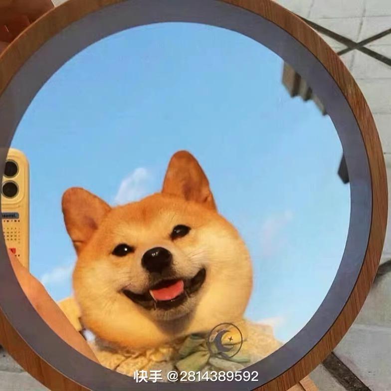金圣