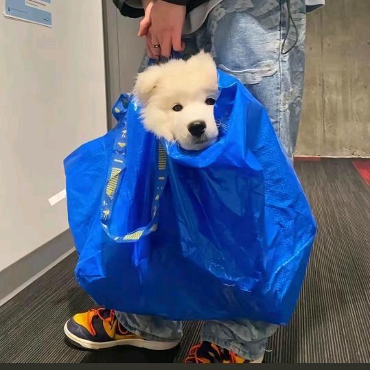 一拳打飞奥特曼