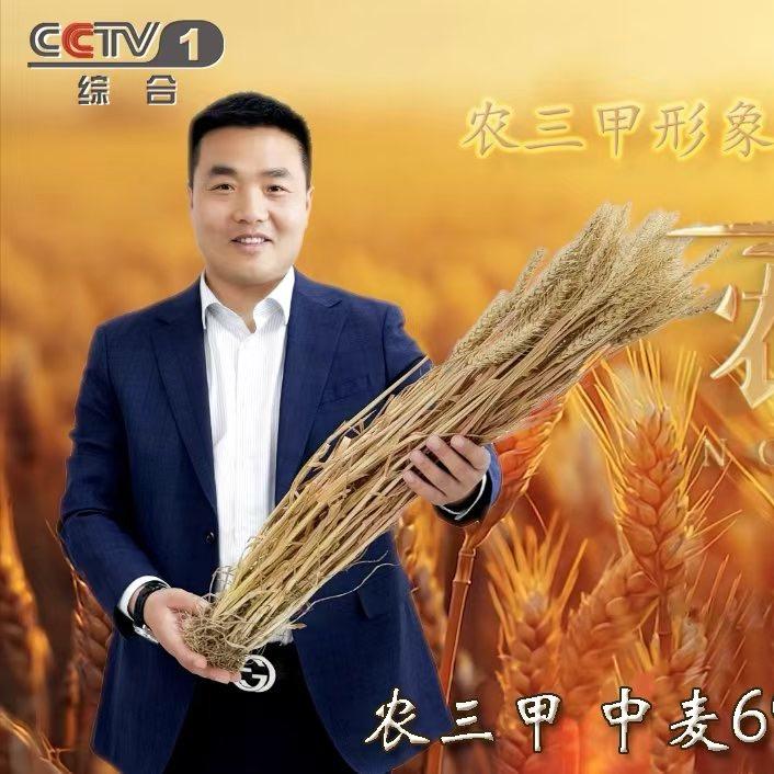 辰明 农三甲集团