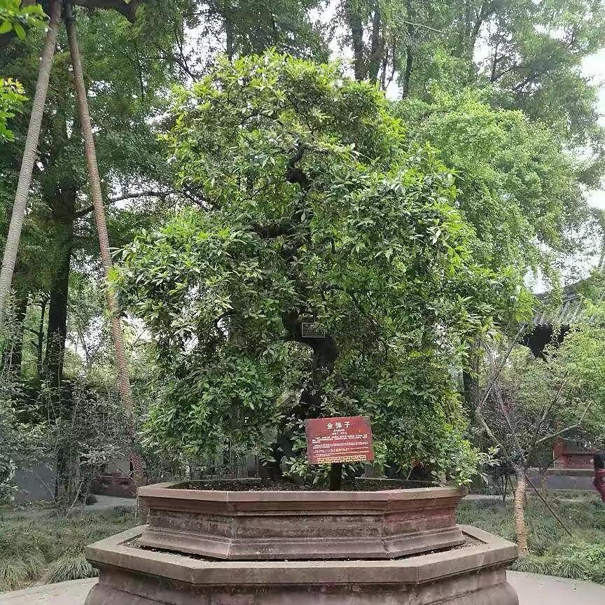 都依你