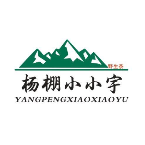 小阿宇#茶农直销