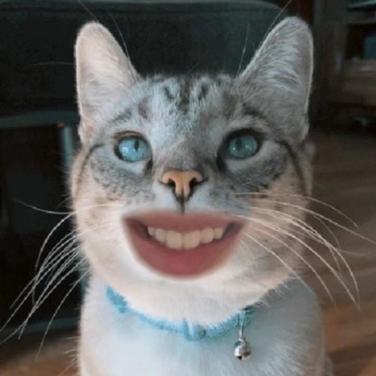 呼呼巫