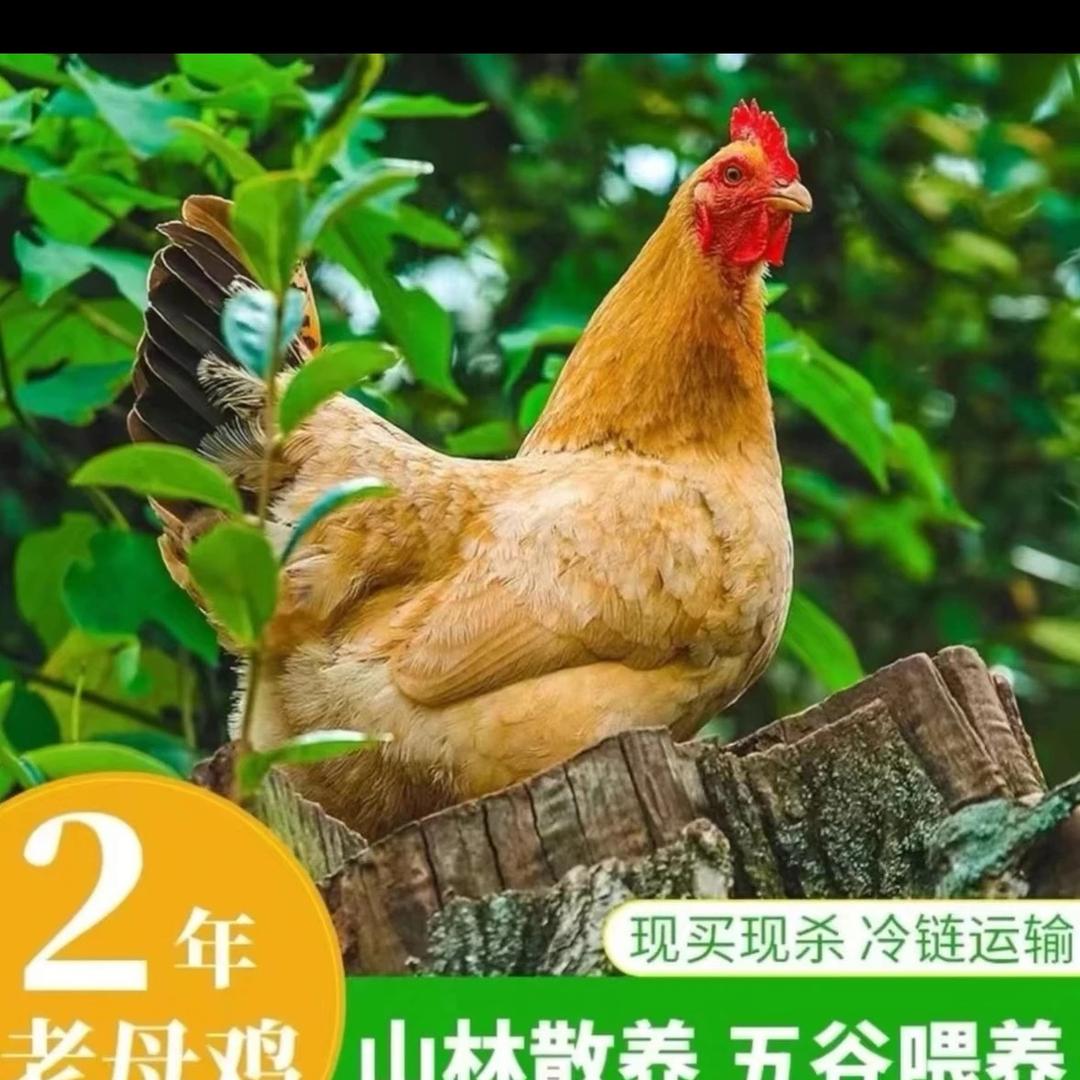 小鹿生态农场