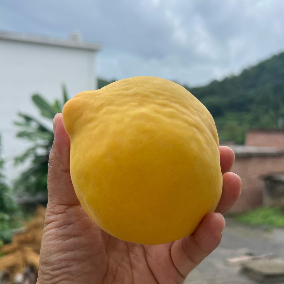 （毅车）开钛3的阿辉