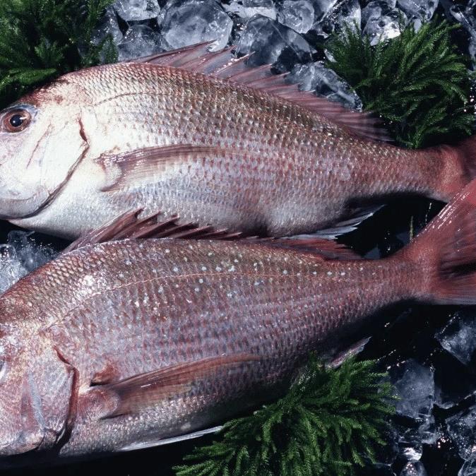 鱼你有约水产品零售