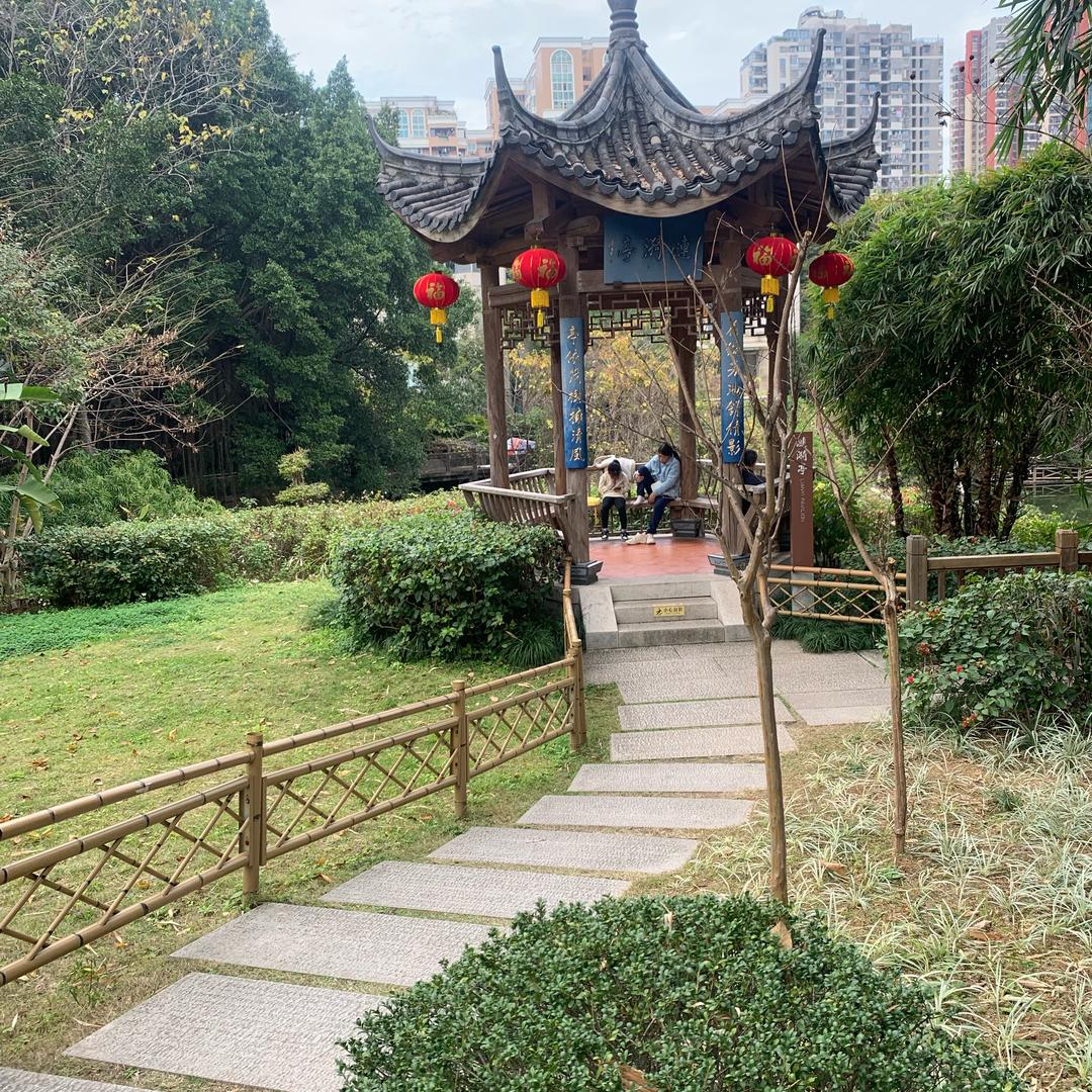 傲气雄鹰