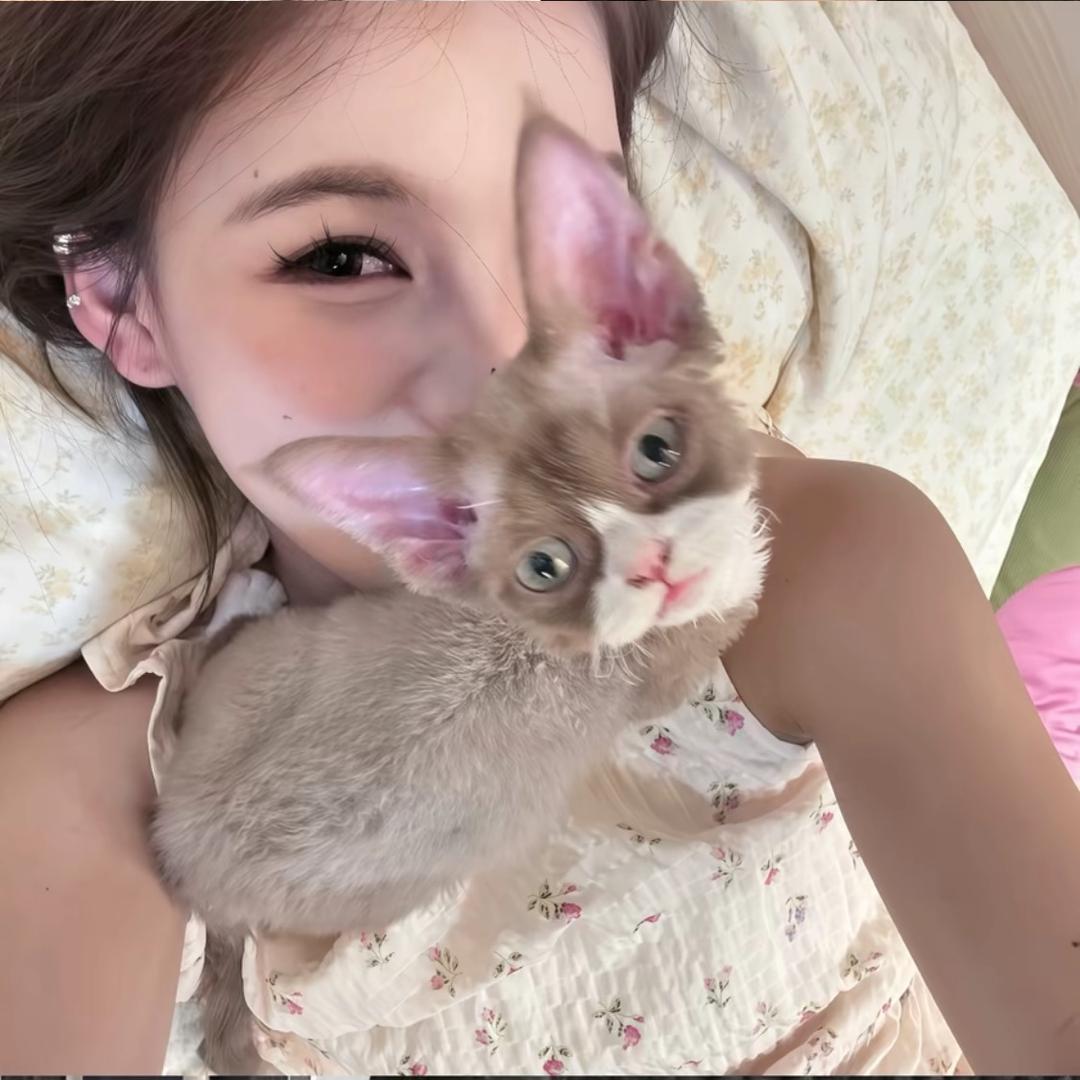 佳个蛋