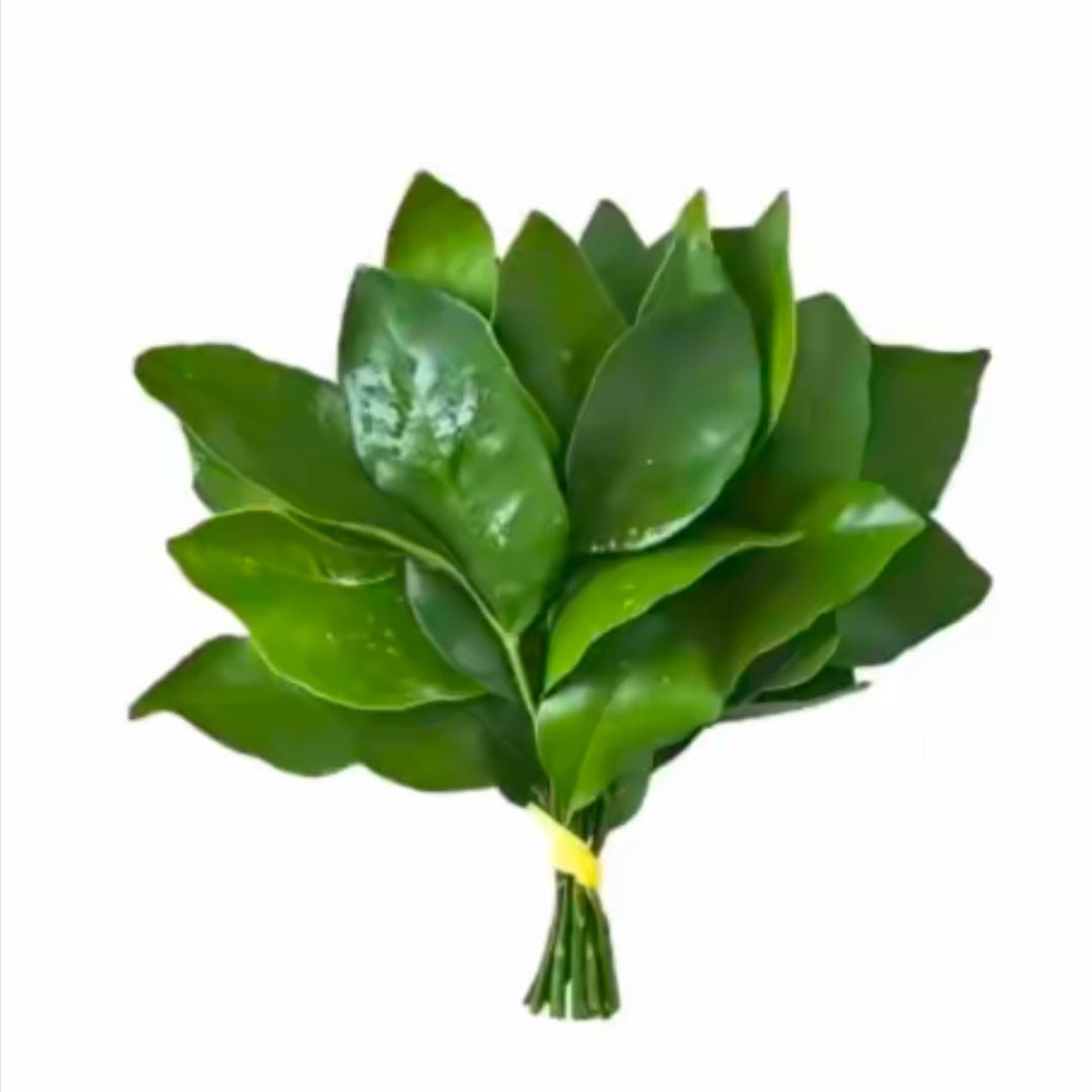 是你曦哥
