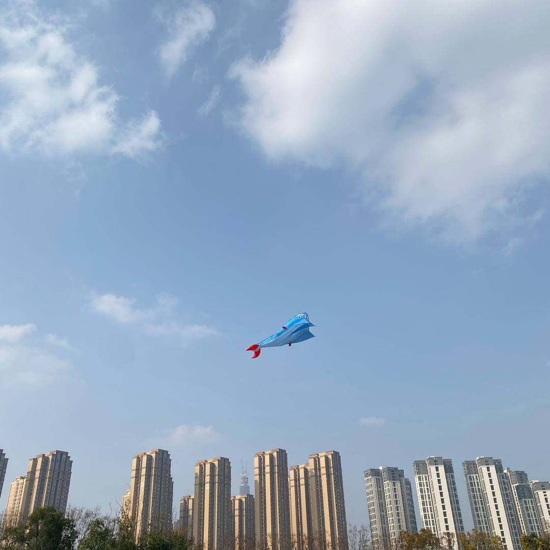 向前看
