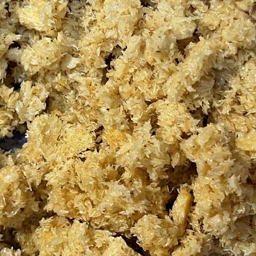 黑水虻产业基地