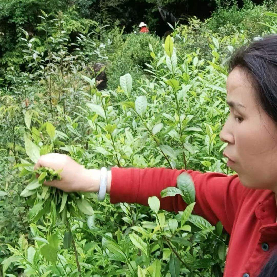 好好好