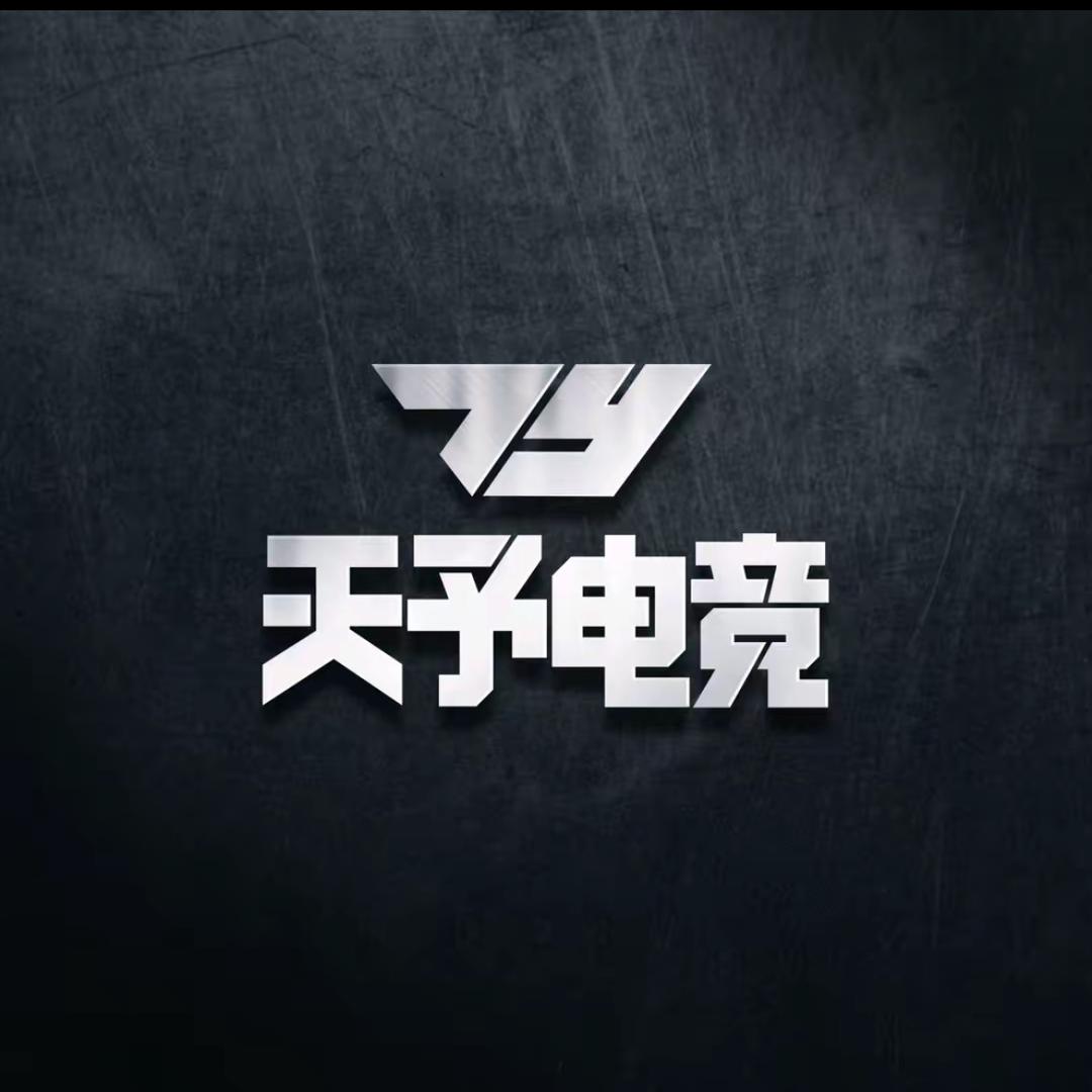 天予电竞（三角洲行动）
