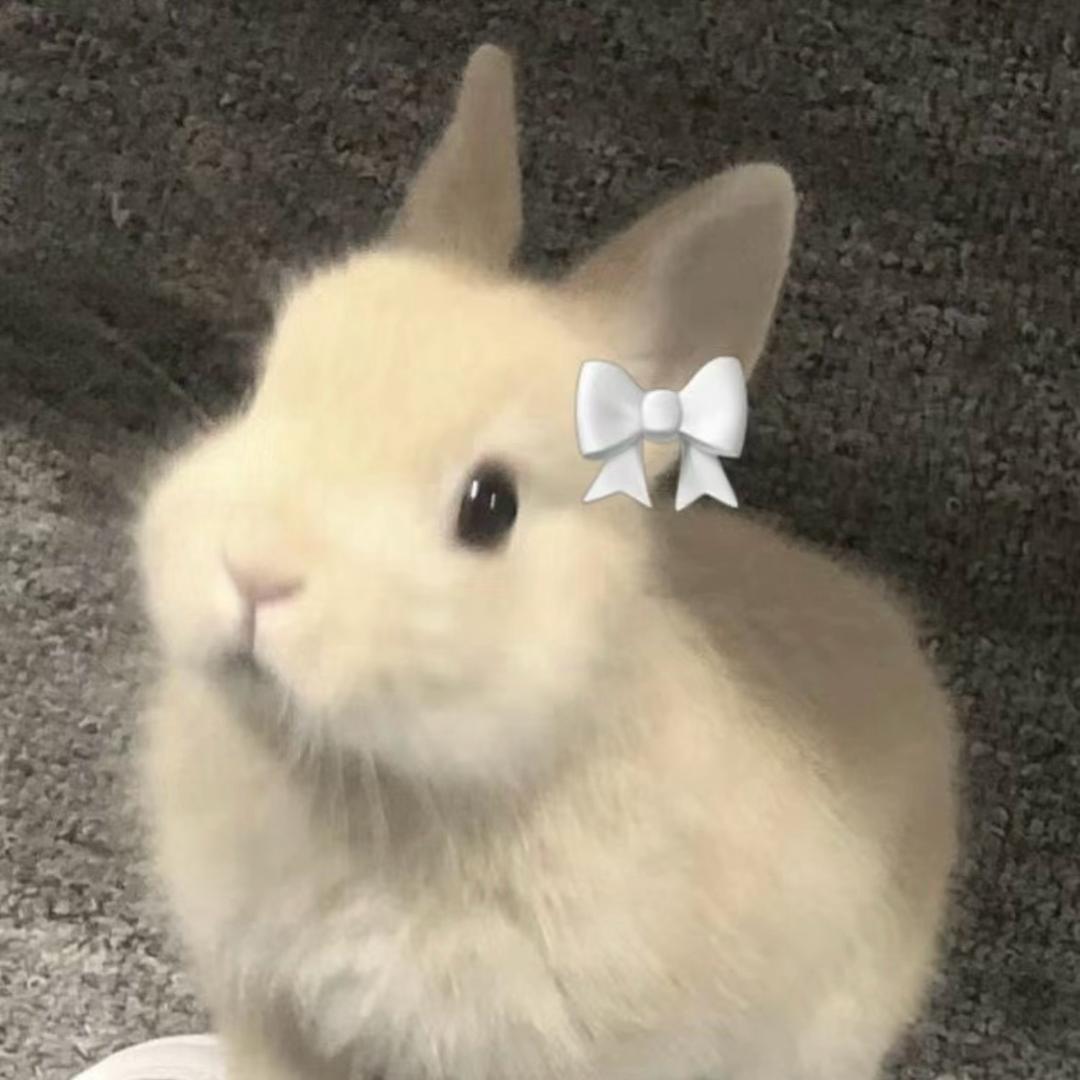 贝坷