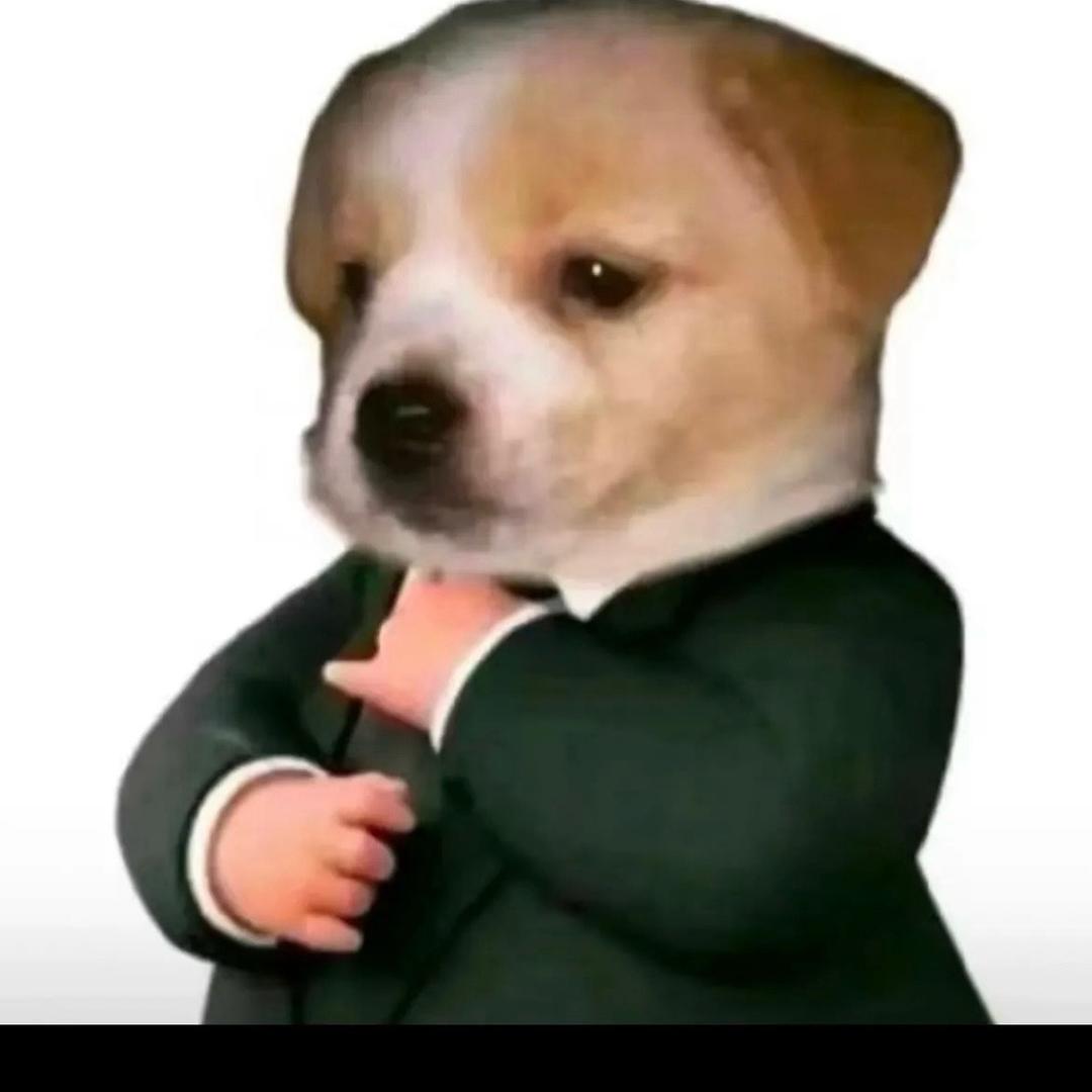 明哥头像