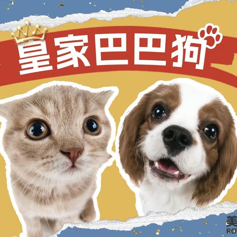 美国皇家巴巴狗冻干直播间